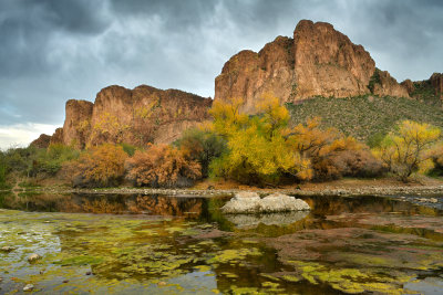 AZ - Salt River Mossy Fall Colors 5.jpg