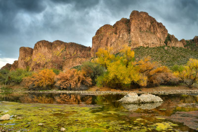 AZ - Salt River Mossy Fall Colors 6.jpg