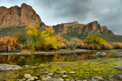 AZ - Salt River Mossy Fall Colors 7.jpg