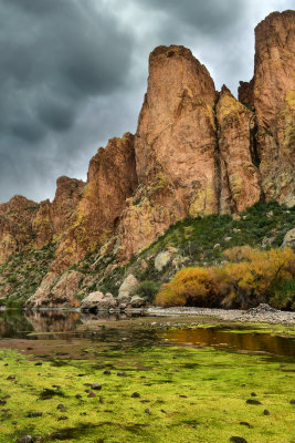 AZ - Salt River Mossy Fall Colors 8.jpg