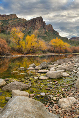 AZ - Salt River Mossy Fall Colors 9.jpg