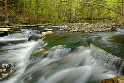NY - Letchworth Falls SP Wolfe Creek Spring.jpg