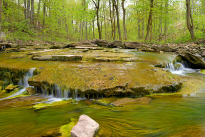 NY - Lockport 18 Mile Creek Spring 1.jpg