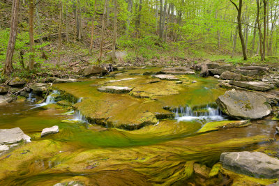 NY - Lockport 18 Mile Creek Spring 2.jpg