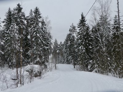 20190201