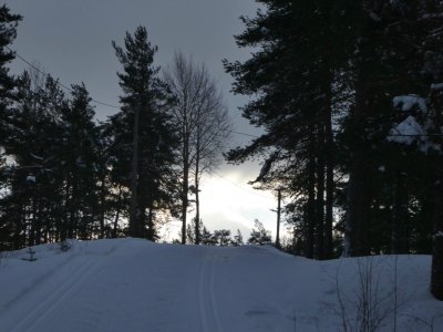20190204