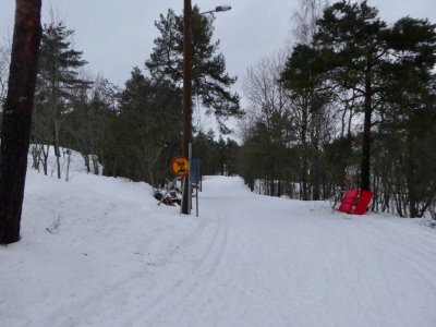 20190208