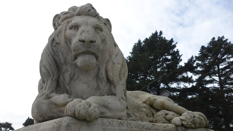 Legion of Honor Lion