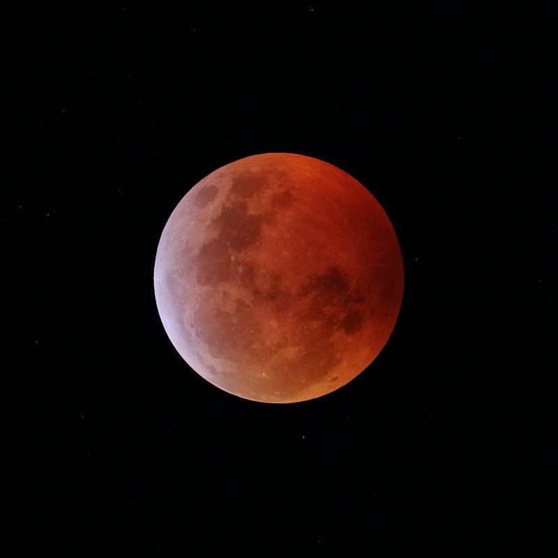 IMG_28243res.JPG