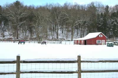 Winter Scene in Sussex County