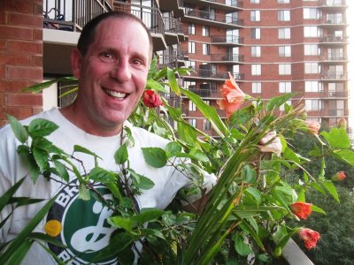 Flowers in bloom