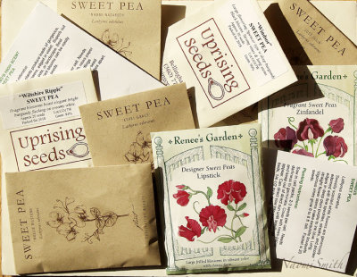 Sweet Pea Seed Packets F18 #3419