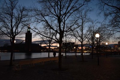 Stockholms stadshus seen from Riddarholmen - 5955