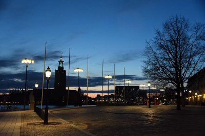Stockholms stadshus seen from Riddarholmen - 5963
