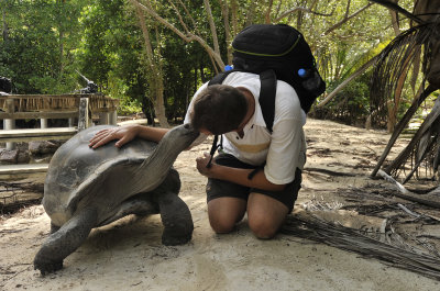 Aldabra_tortoise.jpg