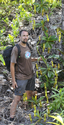 Nepenthes_pervillei_and_me.jpg