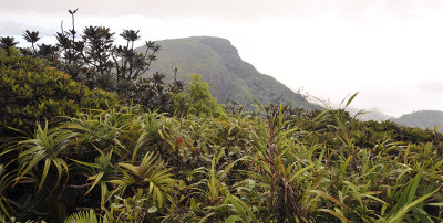 Morne Seychellois National Park