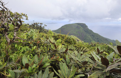 Morne Seychellois National Park