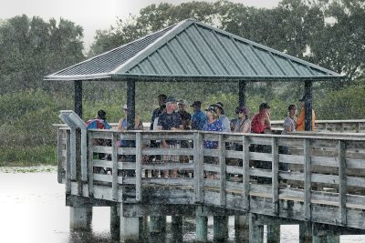 Visitors hiding from the rain at Wakodahatchee