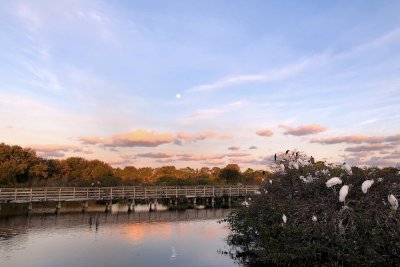 Sunset skies and moon at Wakodahatchee
