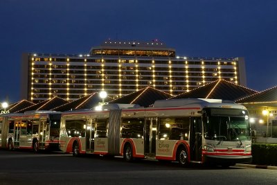 Contemporary Resort and busses