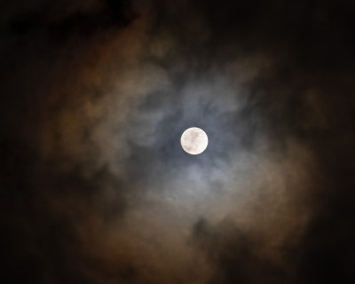 Ring around the moon 19/01/19.jpg