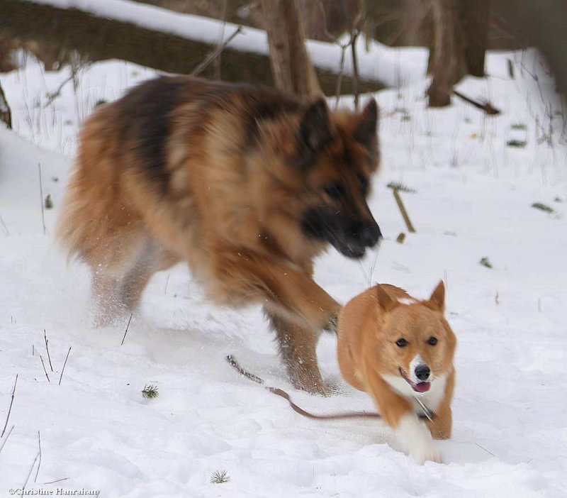 Sasha and her pal