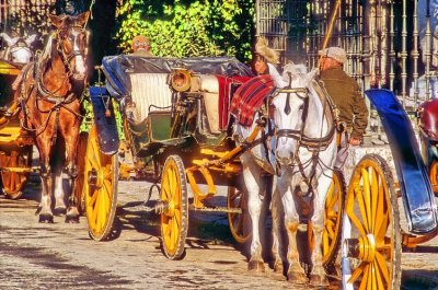 Tourists Horse Carts 