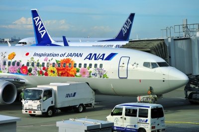 ANA's B-737/800, JA85AN, Flower Power Close