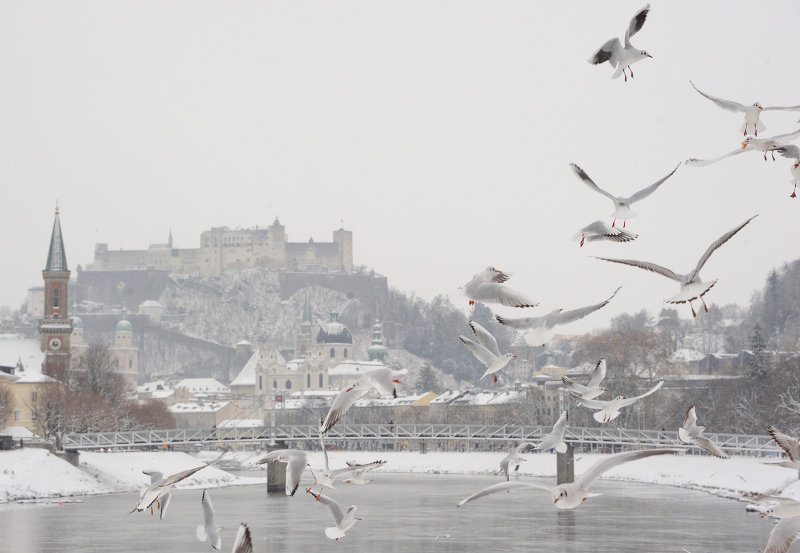 View on old town of Salzburg from the quay of Salzach river