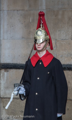 Changing of horse guard