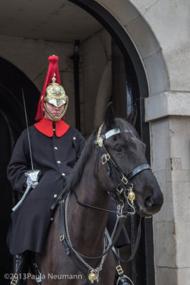 Changing of horse guard