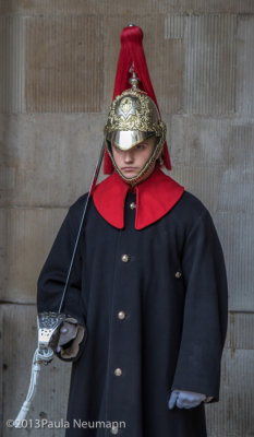 Changing of horse guard