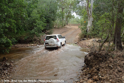 Creek crossing