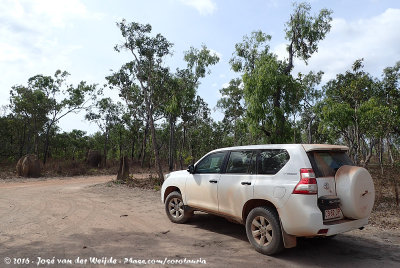 Our dusty rental car