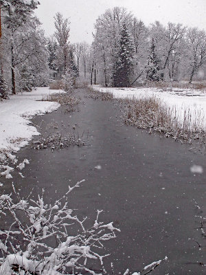 Pond in the snowy forest
