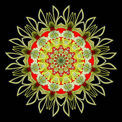 g11/54/24354/3/168794500.76lxMvUh.jpg
