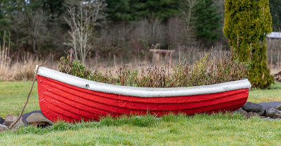 g11/54/364954/3/168773809.02A5YCS4.jpg