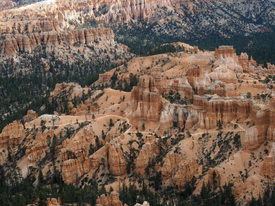 Trail into Bryce Canyon