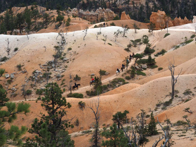 Riders in Bryce Canyon