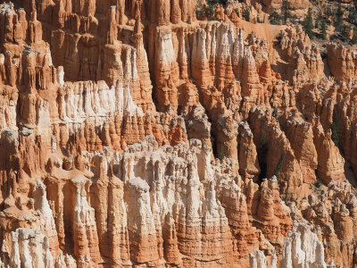 Hoodoos in Bryce Canyon NP