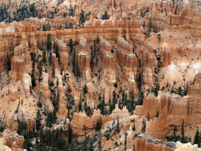 The ramparts within Bryce Canyon