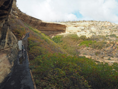 Hiking to Spruce tree house cliff dwelling, Mesa Verde NP