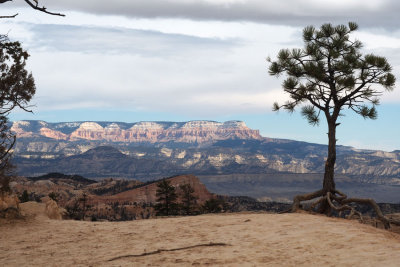 A view across Bryce Canyon from the Rim Trail