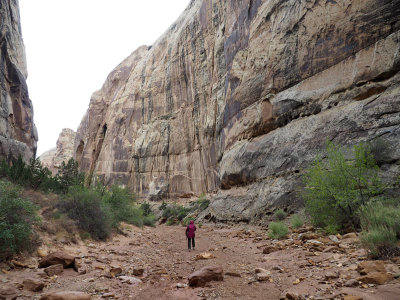 Hiking the Grand Wash in Capitol Reef National Park