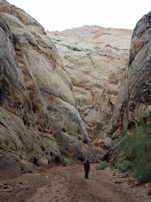 Hiking the Grand Wash in Capitol Reef National Park