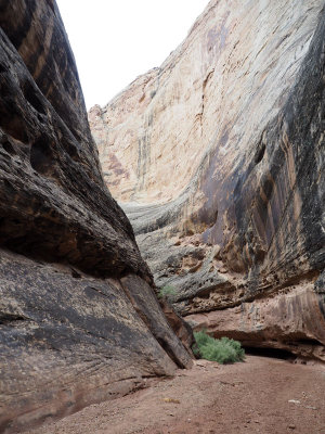 The Grand Wash Trail winds through the narrows - Capitol Reef NP