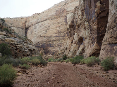 Hiking into the Grand Wash in Capitol Reef National Park