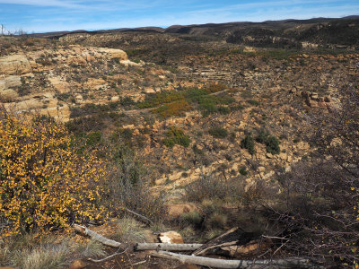 Mesa Verde NP - The trail across the canyon