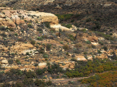 Mesa Verde NP - The trail across the canyon